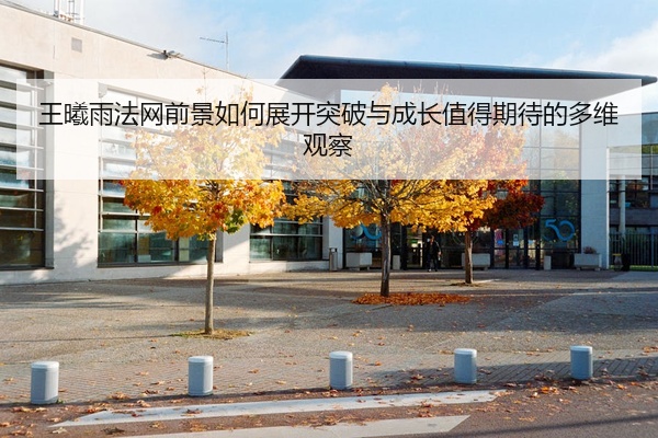 王曦雨法网前景如何展开突破与成长值得期待的多维观察