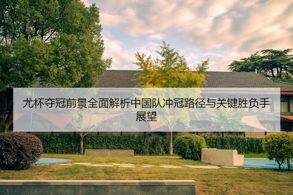 尤杯夺冠前景全面解析中国队冲冠路径与关键胜负手展望